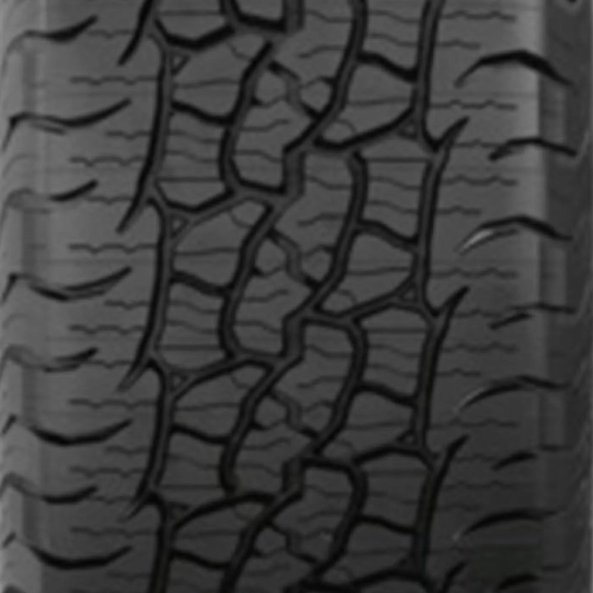 245/75R16 BFGoodrich Trail - Terrain T/A All - Terrain 111T Passenger Tire - Gun Hill Tire House (WTW - WHOLESALE TIRES & WHEELS)