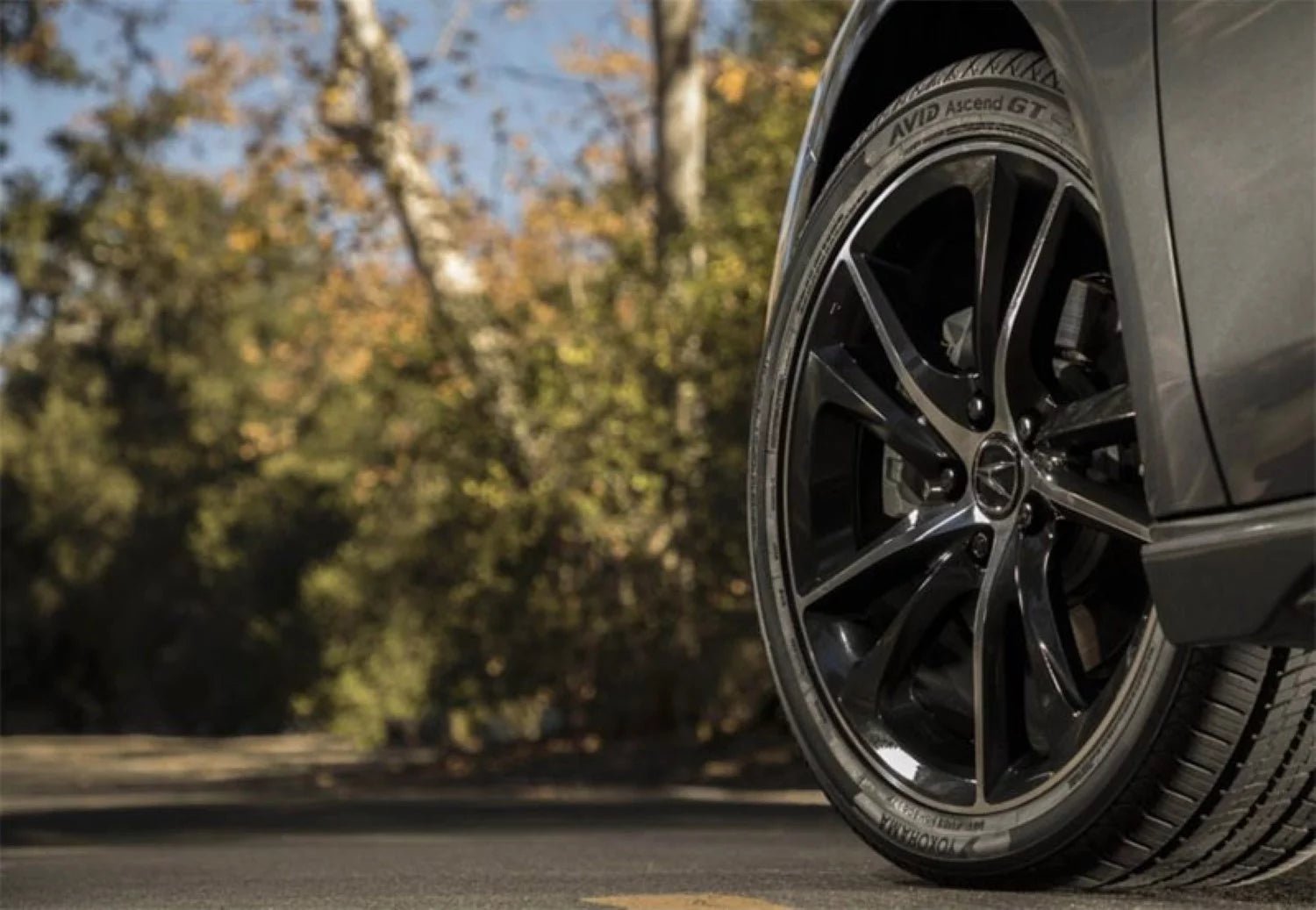 215/50R17 Yokohama Avid Ascend GT All Season 95V XL Passenger Tire - Gun Hill Tire House (WTW - WHOLESALE TIRES & WHEELS)