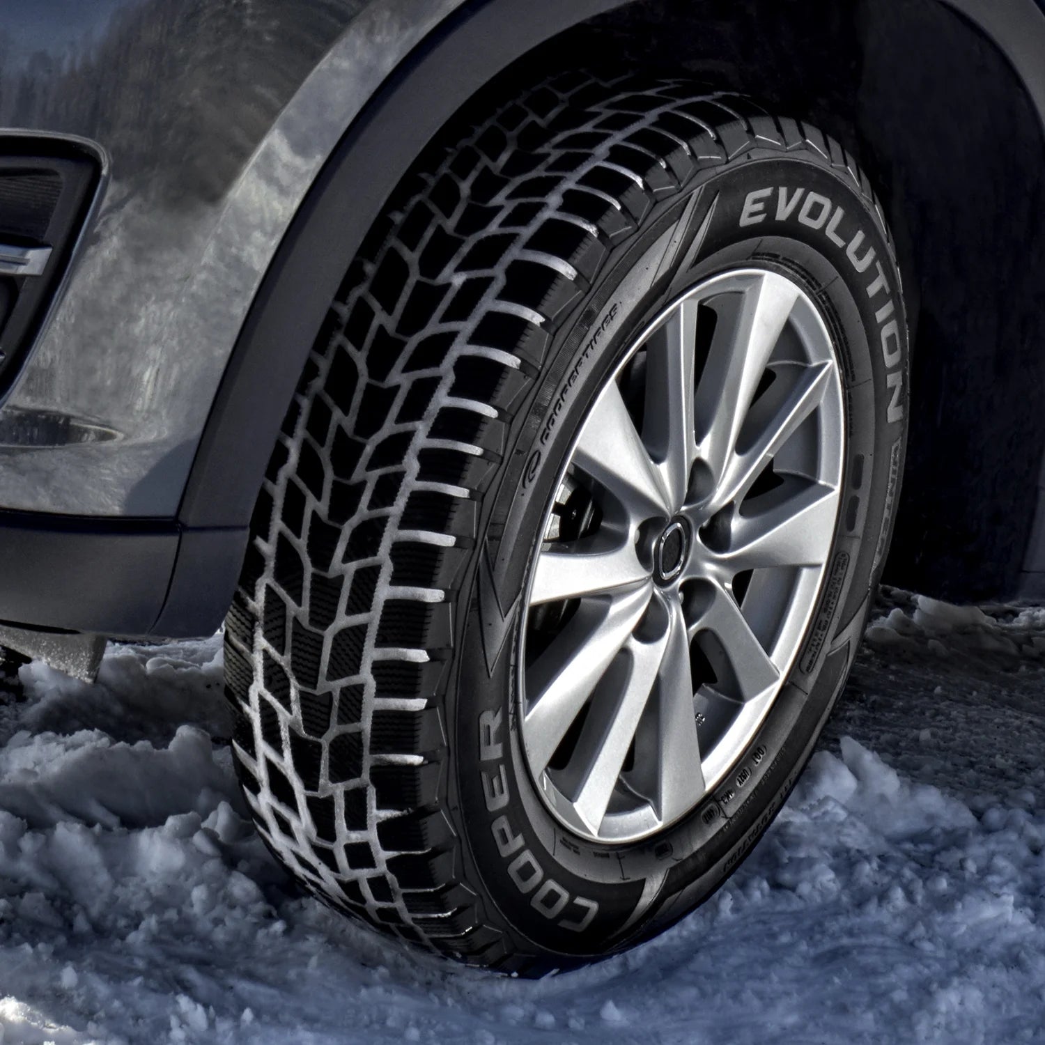 225/55R18 Cooper Evolution Winter Winter 98T Passenger Tire - Gun Hill Tire House (WTW - WHOLESALE TIRES & WHEELS)